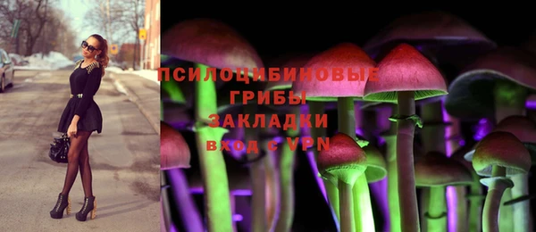 spice Абаза